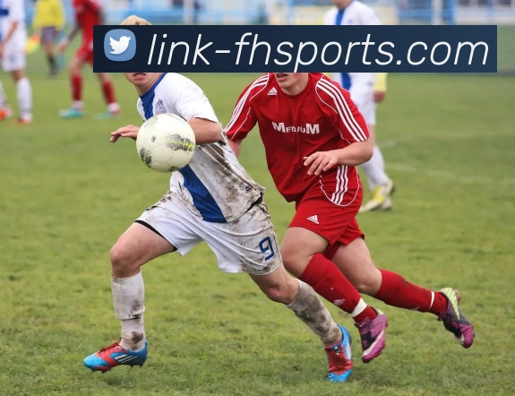 体育下注全站App